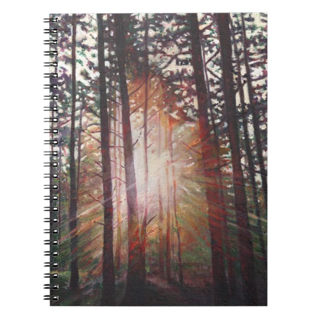 Sunburst 2010 spiral notebook (Front)