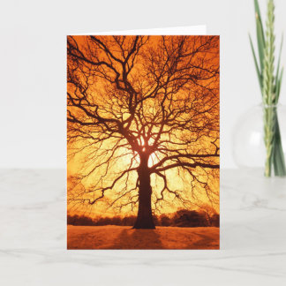 Sunburst Card