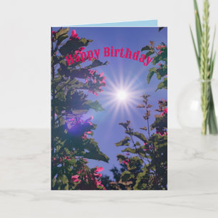 Sunburst full sun sparkles in light of maple tree card