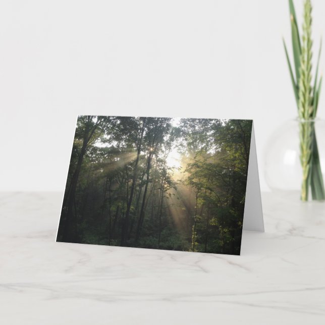 Sunburst in the Trees All Occasion Card (Blank) (Front)