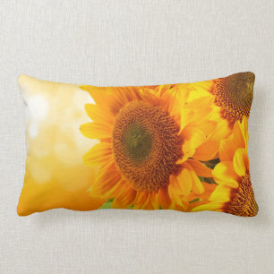 Sunburst Pillow