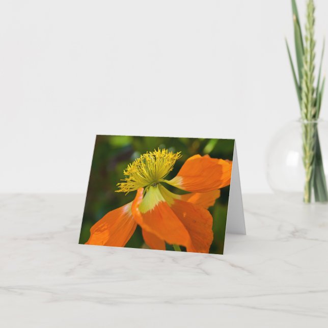 Sunburst Poppy Notecard (Front)