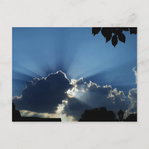 Sunburst Postcard