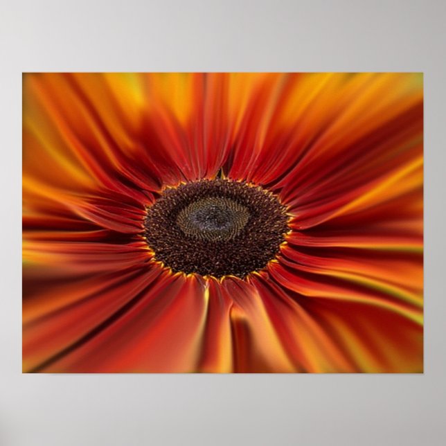 Sunburst Poster (Front)