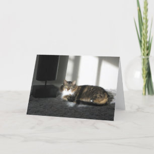 Suncatcher Card