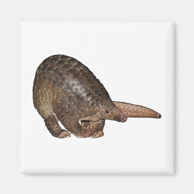 Sunda Pangolin Magnet (Front)