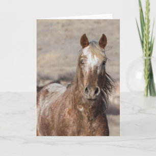 Sundance - Galloping to Freedom Greeting Card