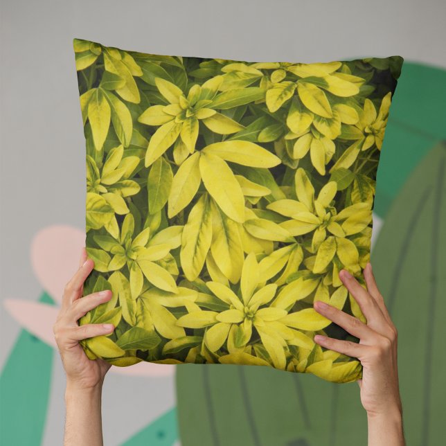 Sundance Mexican Orange Plant Floral Cushion (In Situ Held)