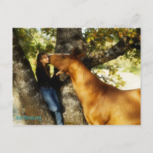 Sundance whisper postcard