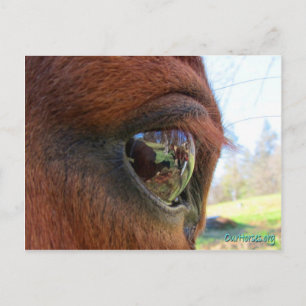 Sundance world postcard