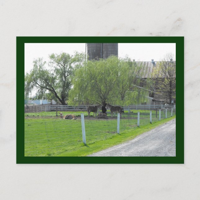 ~ Sunday Afternoon, too ~ Postcard (Front)
