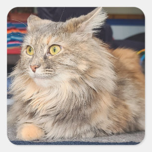 Sunday Mood Square Sticker