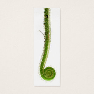 Sundew Frond Bookmark