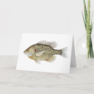 Sunfish Greetings Card