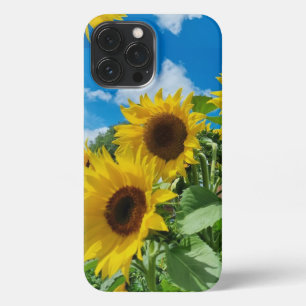 Sunfllowers iPhone 13 Pro Max Case