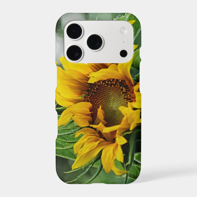 Sunflower (Back)