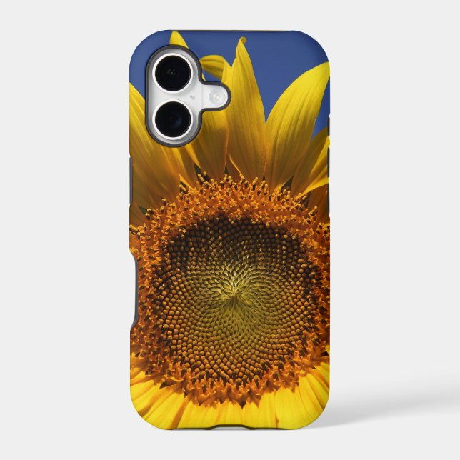 Sunflower (Back)
