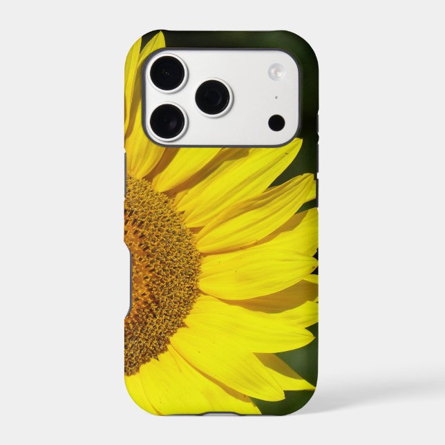 Sunflower (Back)