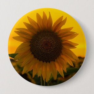 Sunflower 🌻 10 cm round badge