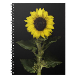 Sunflower 11 spiral notebook