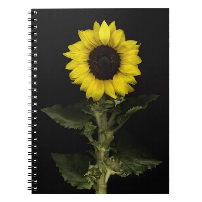 Sunflower 11 spiral notebook (Front)