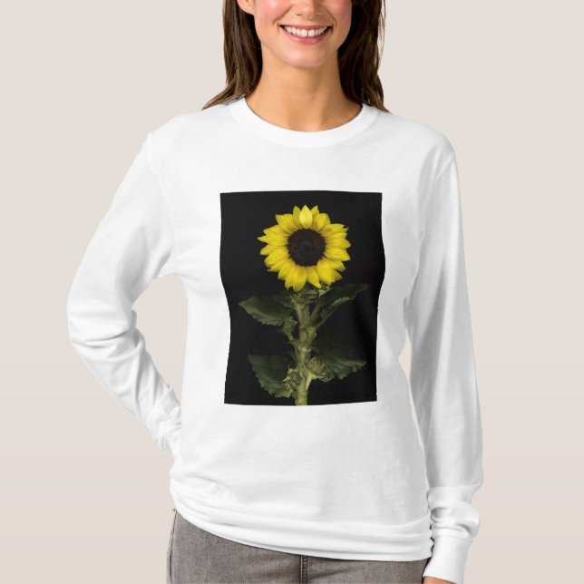 Sunflower 11 T-Shirt (Front)