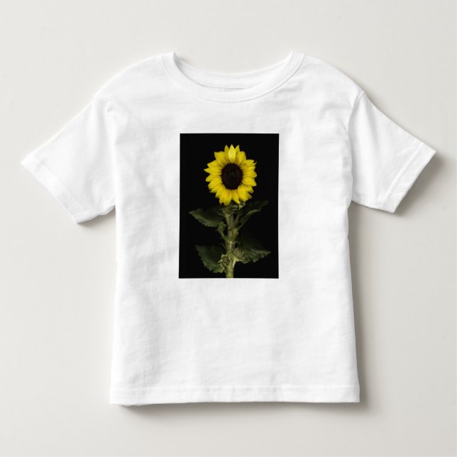 Sunflower 11 toddler T-Shirt (Front)