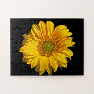 Sunflower 11x14 30pc jpcna jigsaw puzzle