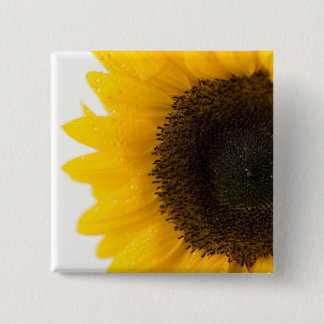 sunflower 15 cm square badge