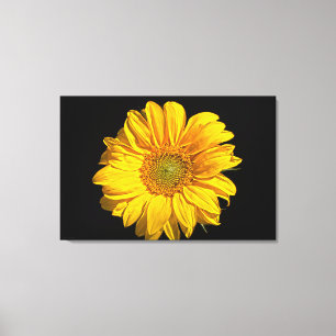 Sunflower 36x24 (90x60cm) wacm canvas print