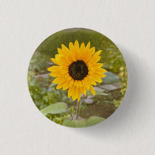 Sunflower  3 cm round badge