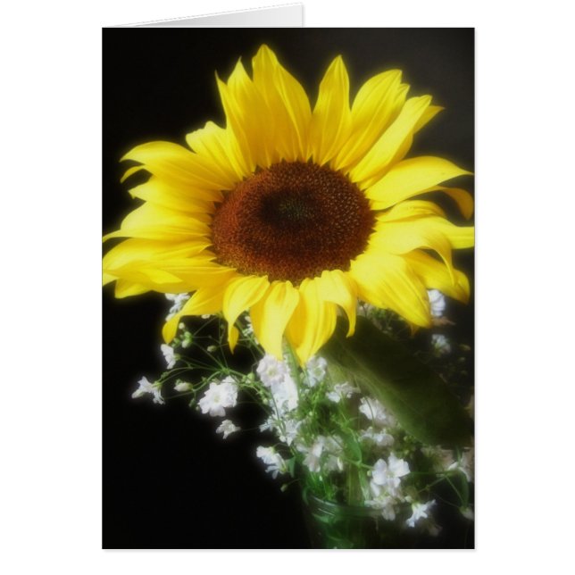 Sunflower 6 (Front)