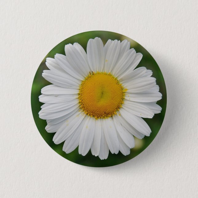 Sunflower 6 Cm Round Badge (Front)
