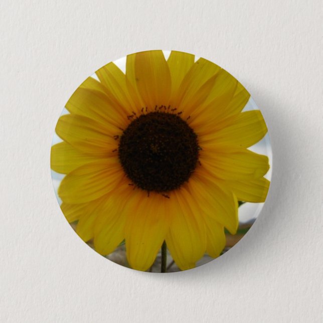 sunflower 6 cm round badge (Front)