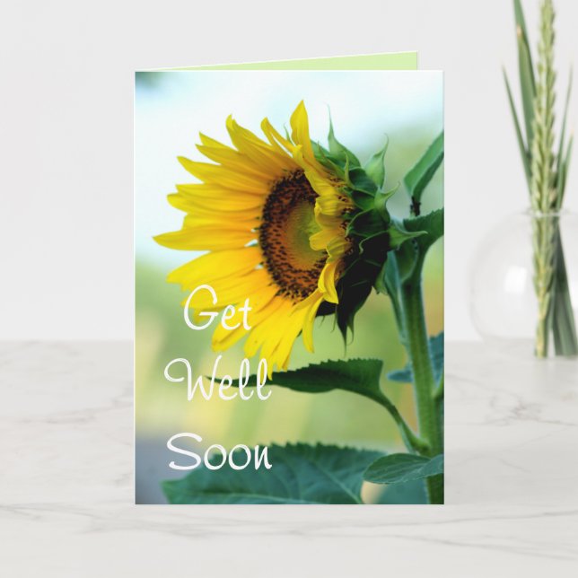 Sunflower 703 Get Well or any occasion Card (Front)