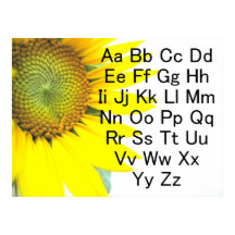 Sunflower Alphabet Chart Poster