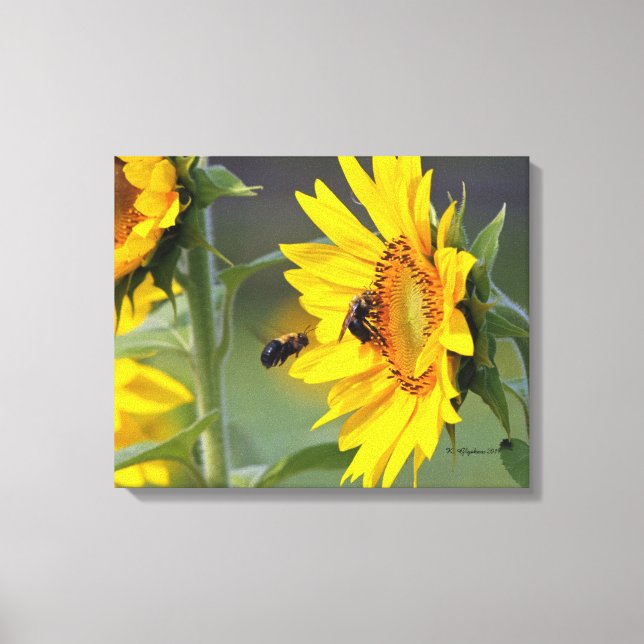 Sunflower and Bees Canvas Print (Front)