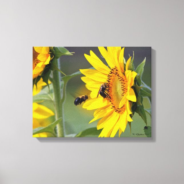 Sunflower and Bees Canvas Print (Front)