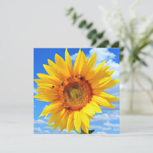 Sunflower and Bees Card