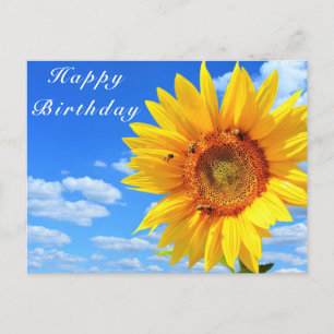 Sunflower and Bees on Blue Sky Birthday Card