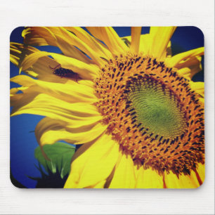 Sunflower And Guest Flower  Mouse Pad