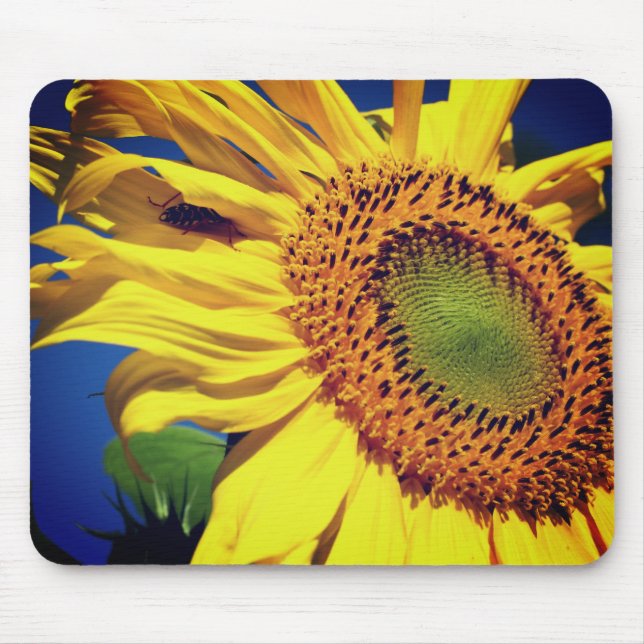 Sunflower And Guest Flower  Mouse Pad (Front)