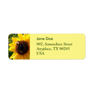 Sunflower and honeybee