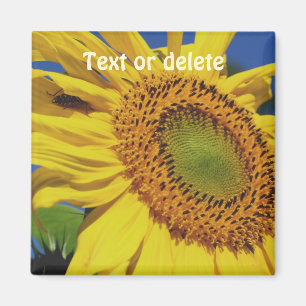 Sunflower And Insect Guest Personalized Magnet