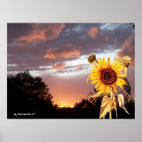 SUNFLOWER AND PINK SUMMER SUNSET
