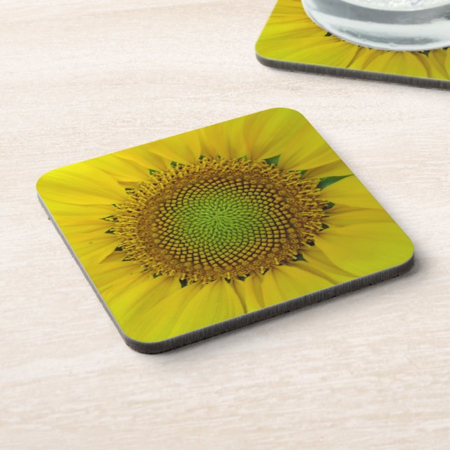 Sunflower and Seeds, Spiral, Golden Ratio  Coaster (Left Side)