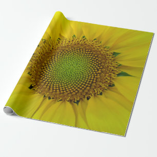 Sunflower and Seeds, Spiral, Golden Ratio Wrapping Paper