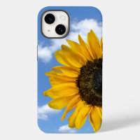 Sunflower and Sky 