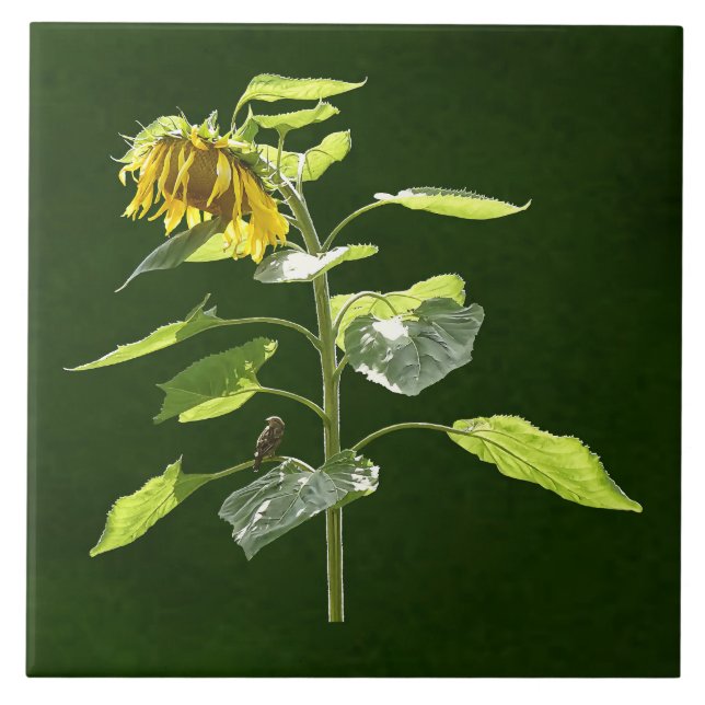 Sunflower and Sparrow Tile (Front)