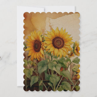 Sunflower Announcement